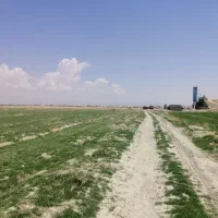 فروش زمین کشاورزی کوشک بیدک|فروش زمین و ملک کلنگی|شیراز, کوشک بیدک|دیوار