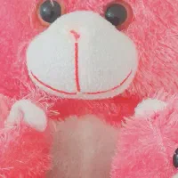 خرس بزرگ|اسباب‌بازی بچه|مهاباد (آذربایجان غربی), |دیوار