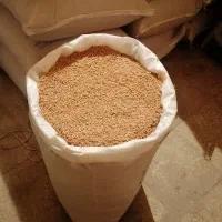 گندم بذر سیروان به مقدار ده تن|خدمات باغبانی و درختکاری|کر, |دیوار