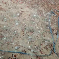 تنگ ماهی