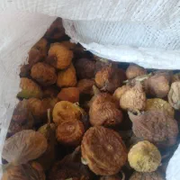 انجیر ضایعات خوب