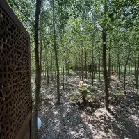 ویلای سوئیسی با ۷ کیلومتر لاین خصوصی قایق سواری|فروش خانه و ویلا|مریوان, |دیوار