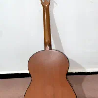 گیتار درحدنو