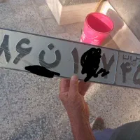 پیدا شده