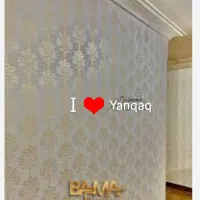 طرح های کاغذ دیوار و رنگ های سفید وغیره|خدمات پیشه و مهارت|ینقاق, |دیوار