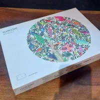 قلم اینتوس پرو مدیوم وکام Wacom Intuos Pro Medium|تبلت|تهران, اسکندری|دیوار