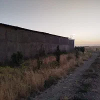 دامداری و استبطل ۸باکسی نرسیده ب ماهیدشت|فروش دفتر صنعتی، کشاورزی، تجاری|ماهیدشت, |دیوار