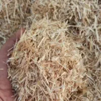 سبوس و کنسانتره پروار|عمدهفروشی|کاشمر, |دیوار