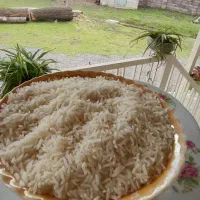 برنج درشت و سرلاشه و نیم دانه هاشمی دسترنج کشاورز