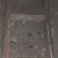 نردبان چوبی۱۰پله در حد نو|ابزارآلات|تهران, سنائی|دیوار