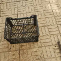 سبد میوه