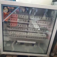 دستگاه جوجه کشی 252 عددی