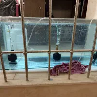 آکواریوم|ماهی|مرودشت, تامین اجتماعی‎|دیوار