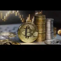 جذب ضامنانه رتبیه بالایی