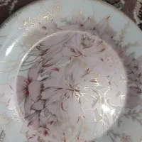 چینی بن چاینا طلاکوب اصل آلمان قدیمی نونو
