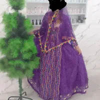 واقع در فیروزآباد