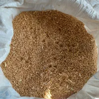 گندم|گل و گیاه طبیعی|چناران, |دیوار