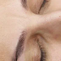مدل هیراستروک و شیداستروک اروپایی|خدمات آرایشگری و زیبایی|شیراز, باهنر|دیوار
