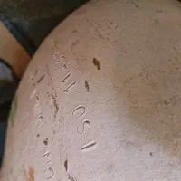 گاز سی ان جی CNG