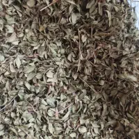 آویشن کوهی امساله