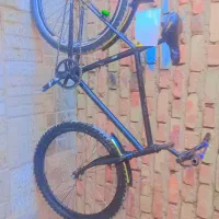 دوچرخه|دوچرخه، اسکیت، اسکوتر|ایرندگان, |دیوار