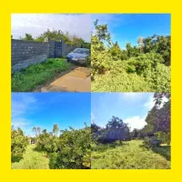 باغ-مشجر-1000متری-سنددار-انشعابات-نصب-اقساطی