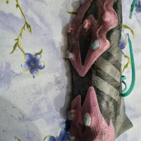 ادیداس پریدیتور|کیف، کفش، کمربند|تبریز, |دیوار