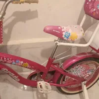 دوچرخه دخترانه شیک