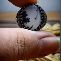 شجر قائن