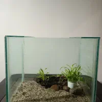 ماهی و نگهداری ۵۰ در ۳۵