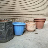 گلدان