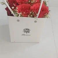 گل نو نو|گل و گیاه طبیعی|مشهد, فرهنگیان (شهرک غرب)|دیوار