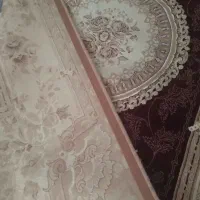 قالی شش متری  در حد نو|فرش|بیجار, |دیوار