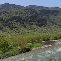 باغ فروشی|فروش دفتر صنعتی، کشاورزی، تجاری|بیستون, |دیوار