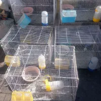 جفتگاه وقفس|لوازم جانبی حیوانات|مشهد, انصار|دیوار