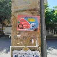 استخدام نیرو برای پخش تراکت|استخدام بازاریابی و فروش|تبریز, |دیوار