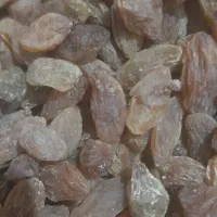 کشمش خوراکی قیمت مناسب افتابی وسبز|خوردنی و آشامیدنی|نیشابور, فضل|دیوار