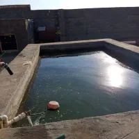 خانه باغ و سالن مرغداری خونه باغ|فروش خانه و ویلا|نیر (یزد), |دیوار