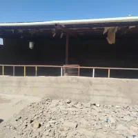 دامداری|فروش دفتر صنعتی، کشاورزی، تجاری|الوند, |دیوار