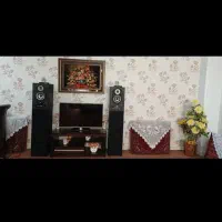 اسپیکر ایستاده مارشال حرفه‌ای ME-2305