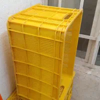 تعدادی سبد میوه بیست تا 25کیلویی