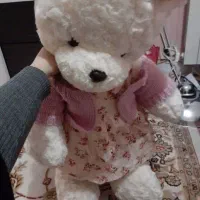 عروسک نو|اسباببازی|شهرضا, |دیوار