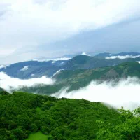 استخدام نیرو