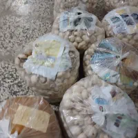 قارچ نمایندگی پخش