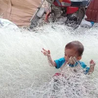 فروش|ماهیگیری|بندر کنگان, |دیوار