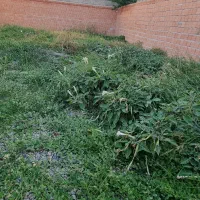 اجاره ملک جهت انبار کالا به متراژ ۲۵۳متر ویلاشهر|اجارهٔ خانه و ویلا|گرگان, |دیوار