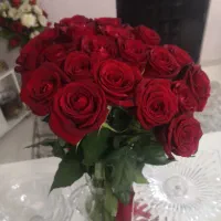 گل رز سرخ
