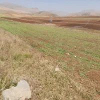 زمین کشاورزی آبی بارانی کوهرنگ|فروش زمین و ملک کلنگی|کوهرنگ, |دیوار