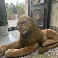 اشیا عروسک