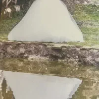 لباس عروس درحد نو کارشیک پوشیده|لباس|گرگان, |دیوار